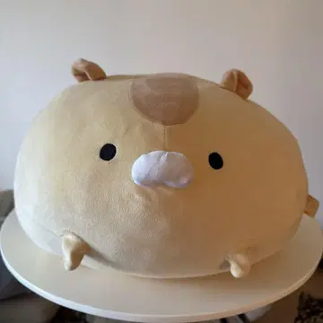 모치 동물원 하무모치 미소