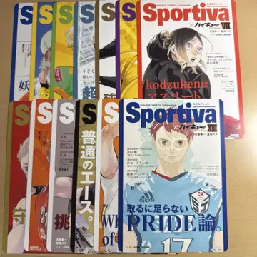 하이큐!! 쇼세츠반 Sportiva 애니메이트 비주얼 보드