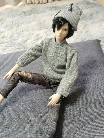 1/6 인형 30cm 남자 도감 바비 켄 리카짱 하루토 옴
