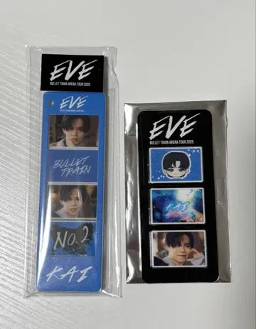 초특급 카이 EVE 사진 그레이 아크릴 키링 부품 세트
