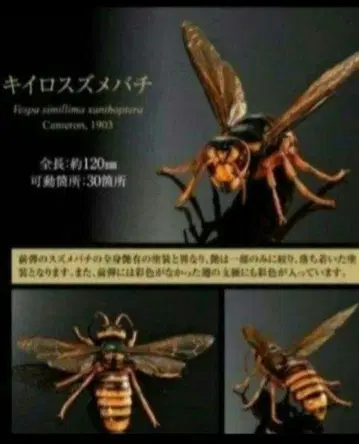 생물대도감 어드밴스 말벌 02 키이로스즈메바치 가챠폰