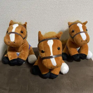 아이돌 호스 오르페브르 M 사이즈