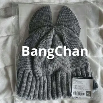 StrayKids 방찬 BangChan 비니 포스터 펜미