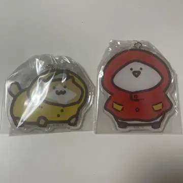 문구와 함께 비와 수국 아크릴 참 새끼 고양이 문구