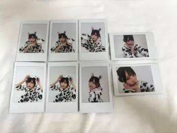 카스짱 랜덤 폴라로이드