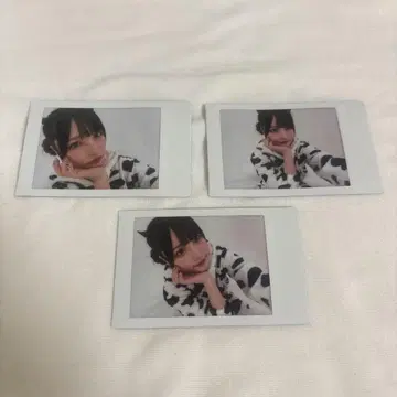 카스짱 폴라로이드