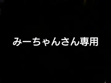 혼고 쇼조 A상 모모노스케 대룡 변신 피규어