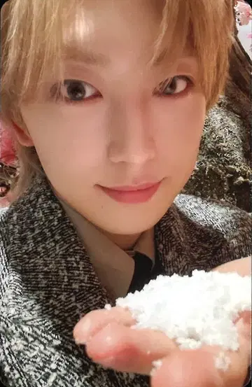 &TEAM FUMA Yukiakari 멤버 솔로 자켓판 트레이딩 카드 C