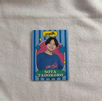 타도 소타 프로카