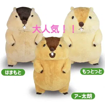 대인기! 마모트의 모토토 울트라 BIG 봉제 인형 3종
