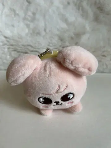 StrayKids는 백 참 Puppym