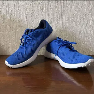 Under Armour 언더아머 파랑 러닝화 25cm