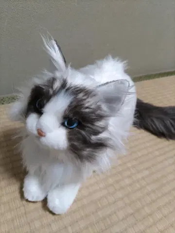 Chongker 고양이 봉제 인형 리얼