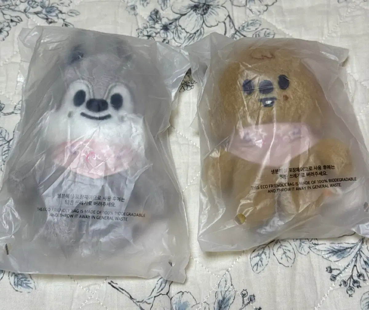 스키즈 스키주 콩키즈 10센치 울프찬 한쿼카
