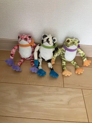 테부케로 세트