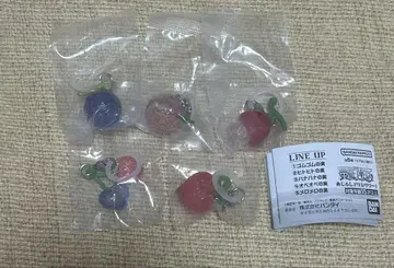 원피스 메지루시 액세서리 컴프 세트