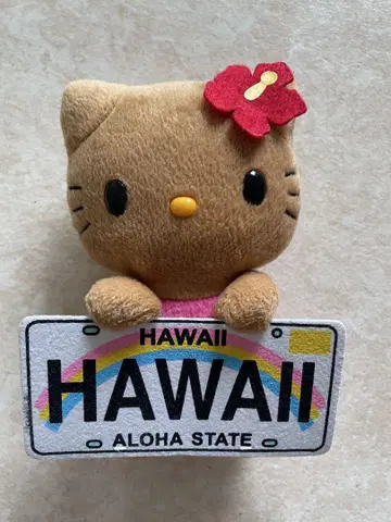 하와이 한정판 HELLO KITTY 헬로키티