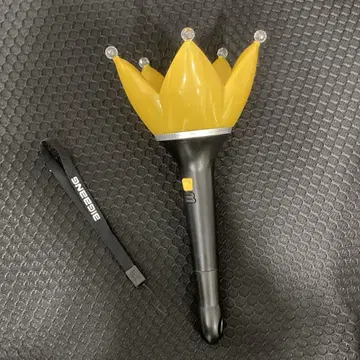 BIGBANG 한국 응원봉 블랙