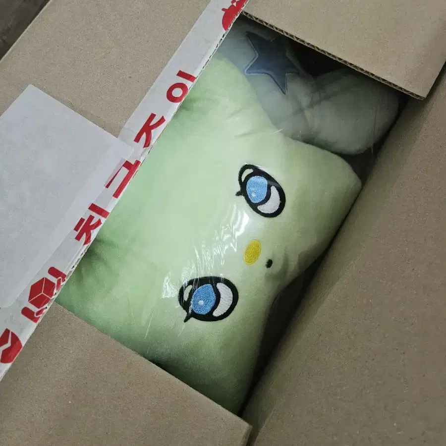NCT | 엔시티 NCT WISH Wish wichu cushion Chuu cushion sealed