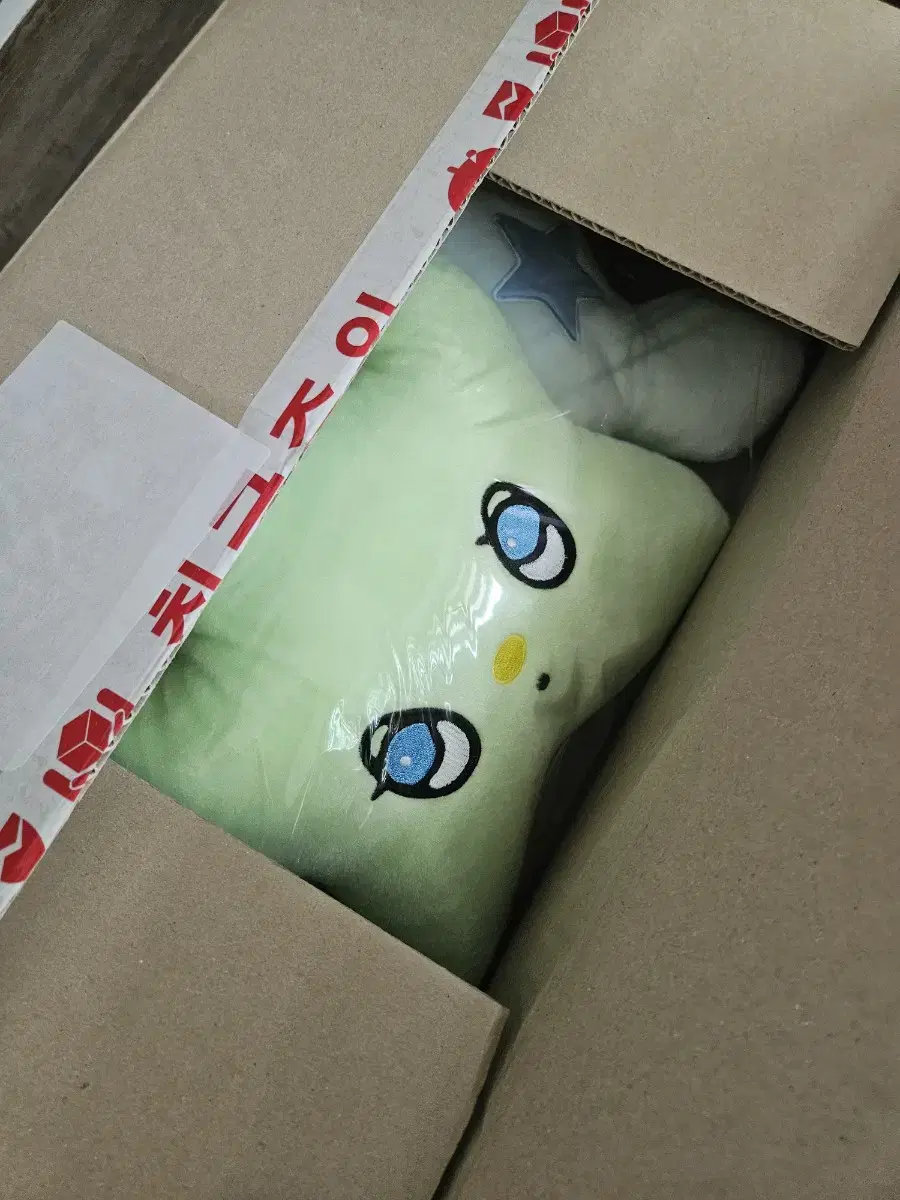 NCT WISH Wish wichu cushion Chuu cushion sealed
