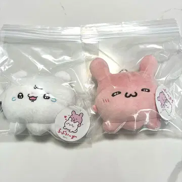 택 포함 새상품 라부이즈 보이스 봉제 인형 2세트