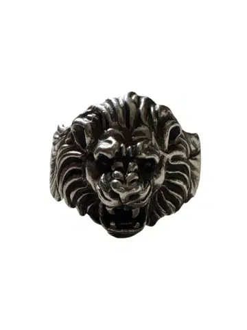 silver925 19호 라이온