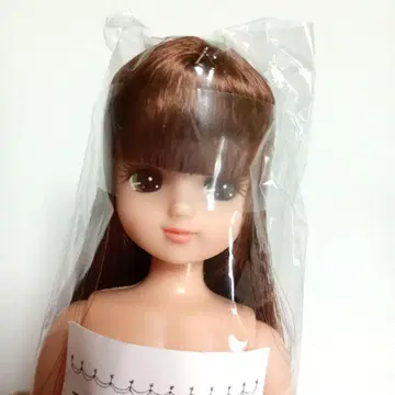 미사용 리카짱 인형 브라운 헤어 스탠다드 리카짱