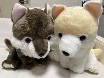 모후토 늑대 태국 한정판 늑대 봉제 인형 2개