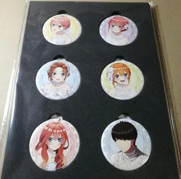 5등분의 신부 캔뱃지 6개 세트 미사용 새상품