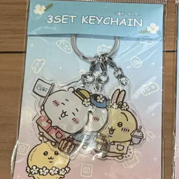 치이카와 치이카와 관광 3줄 아크릴 키링 여행 가고 싶다