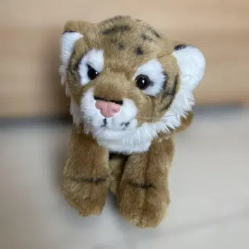 야생 동물 호랑이