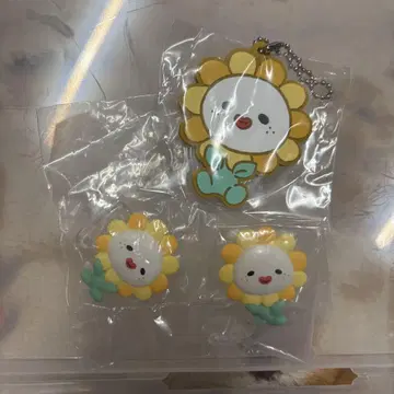 전단지 3개 세트