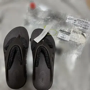 새상품 우포스 24cm 저널 스탠다드 리룸