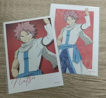 페어리 테일 FAIRYTAIL 미니 사진 나츠
