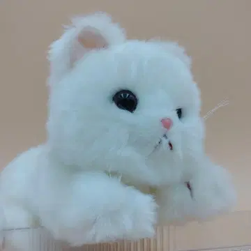 토이저러스] animal alley 화이트 고양이 페차 코 봉제 인형