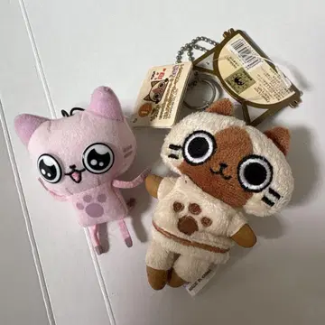 몬스터 헌터 아일루 키 커버