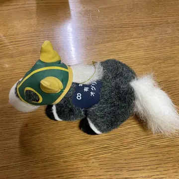 제35회 아리마 기념일 오구리 캡