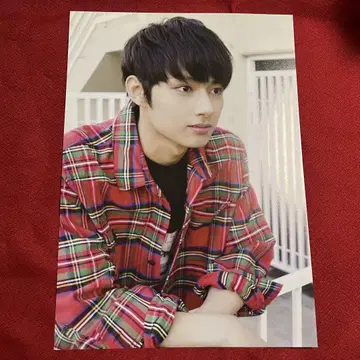 세븐틴 세부치 준 사녹 미니 포스터 우루시파