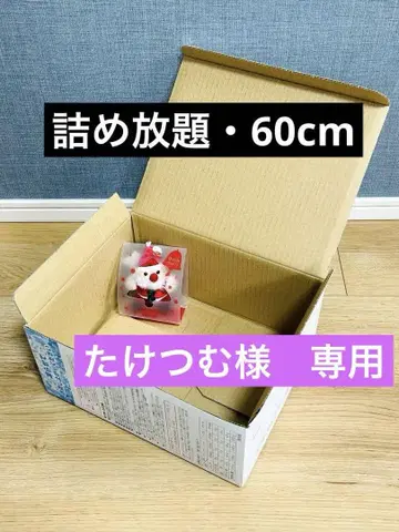 채워 넣기 60cm (55.5cm) 리사이클 상자 접수 중