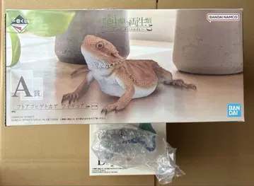 제일복권 파충류&양서류 A상 D상 (아오지타도마뱀)