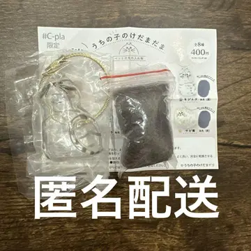 우리 아이의 털뭉치, 키지트라