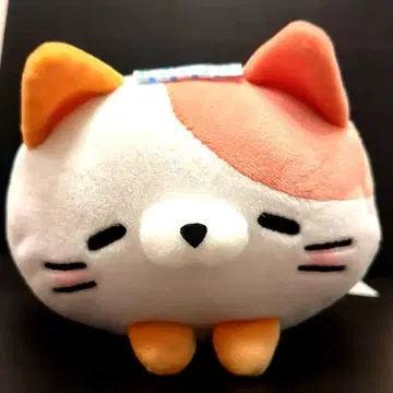 쫄깃쫄깃! 굴러가는 냥코 온천 한정판 온센냥코
