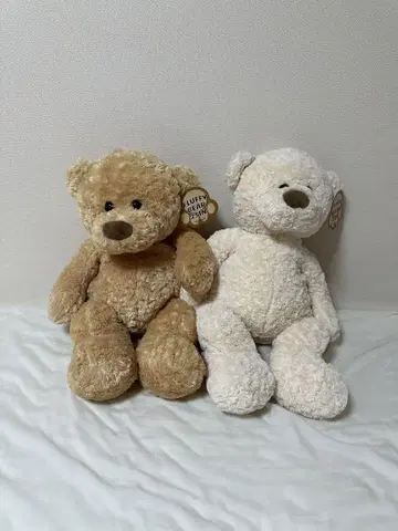 코스트코 FLUFFY BEAR 25IN 봉제 인형 2종 세트