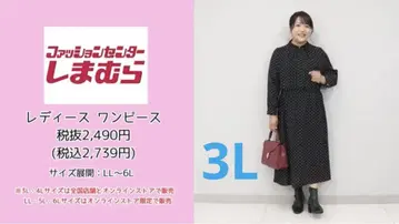 시마무라 도트 원피스 3L