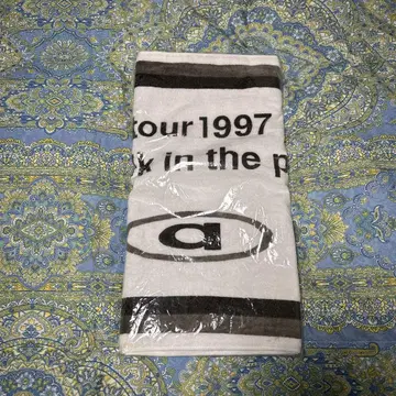 아무로 나미에 a waIk in the park 스포츠 타월
