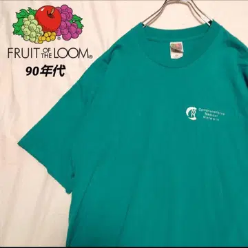 싱글 스티치 BEST 90년대 XL 헤비 웨이트 프룻 오브 더 룸