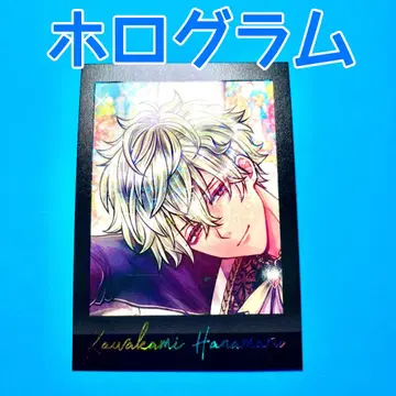 아쿠네코 파샤코레 프리미엄 Vol.2 금박 홀로그램 레어 하나마루