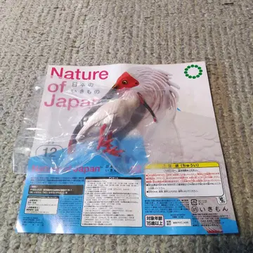Nature of Japan 토키 피규어 12