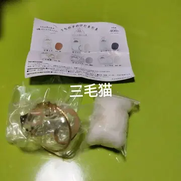 우리 집 고양이, 삼색 고양이