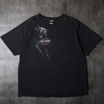 HARLEY DAVIDSON 할리데이비슨 티셔츠 곰 XL